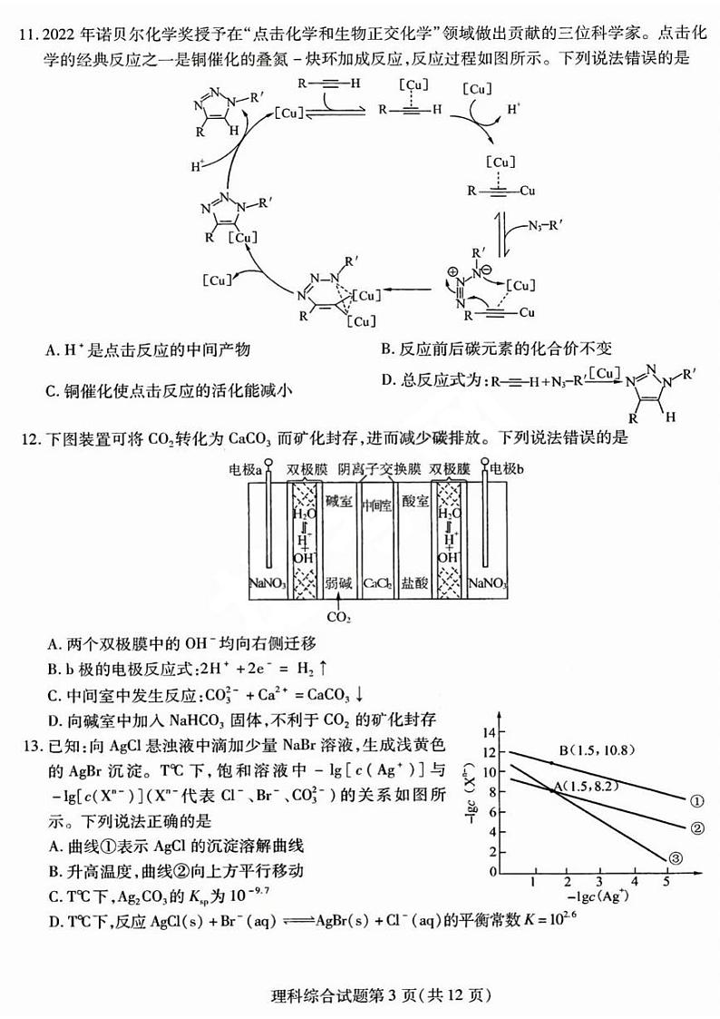 2023年东北三省三校高三四模（哈师大附中高三四模）理综试题及答案03