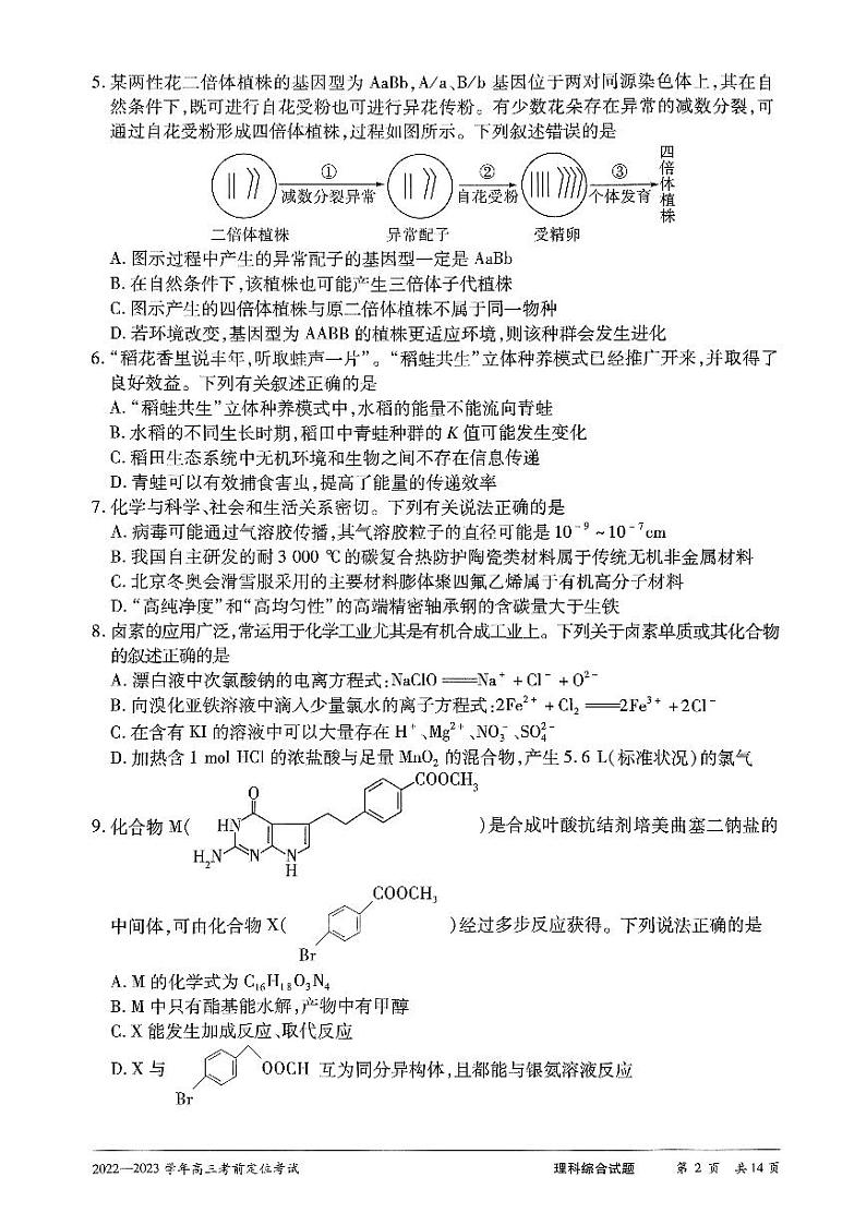 河南省许平汝名校2023届高三下学期考前定位三模试题 理科综合第2页
