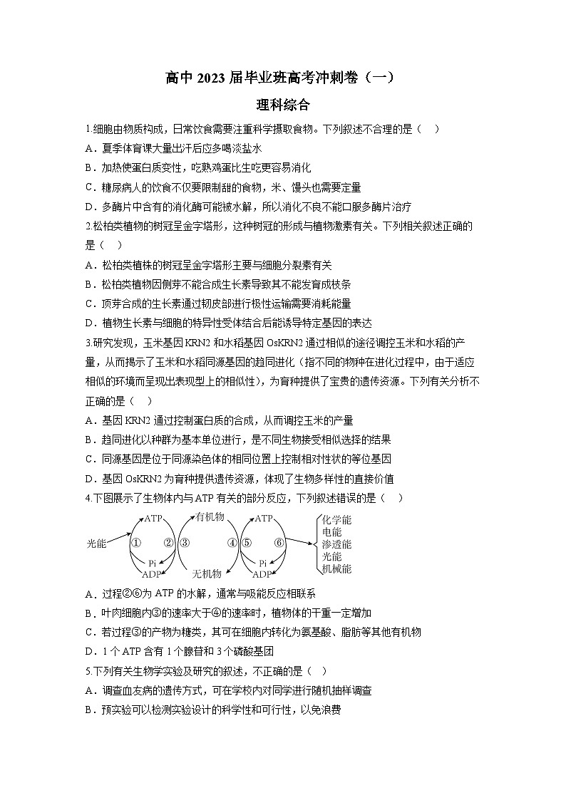 四川省成都市石室中学2023届高三理综下学期高考冲刺卷（一）（Word版附答案）第1页
