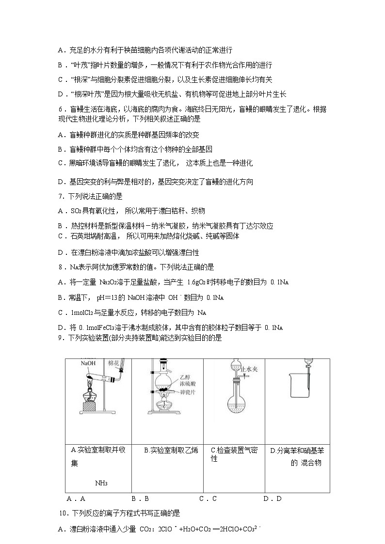 四川省内江市第六中学2022-2023学年高三理综下学期强化训练（一）试题（Word版附答案）第3页