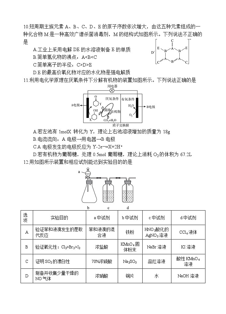 射洪中学高2023届高考适应性考试（二）理综试题第3页
