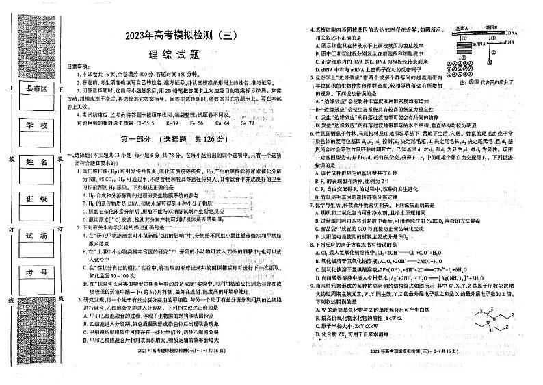 2023届陕西省镇安中学高考模拟演练 理综试题第1页