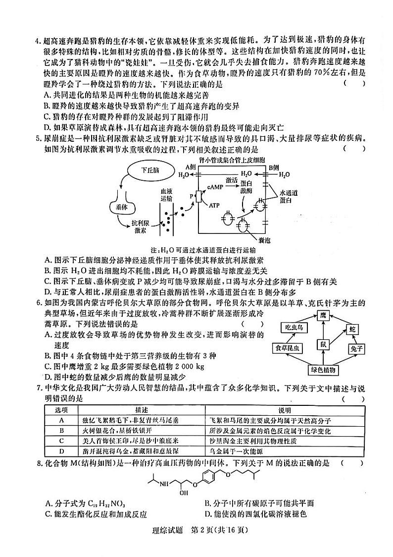 2023届河南省名校青桐鸣高三5月大联考理科综合 试卷02