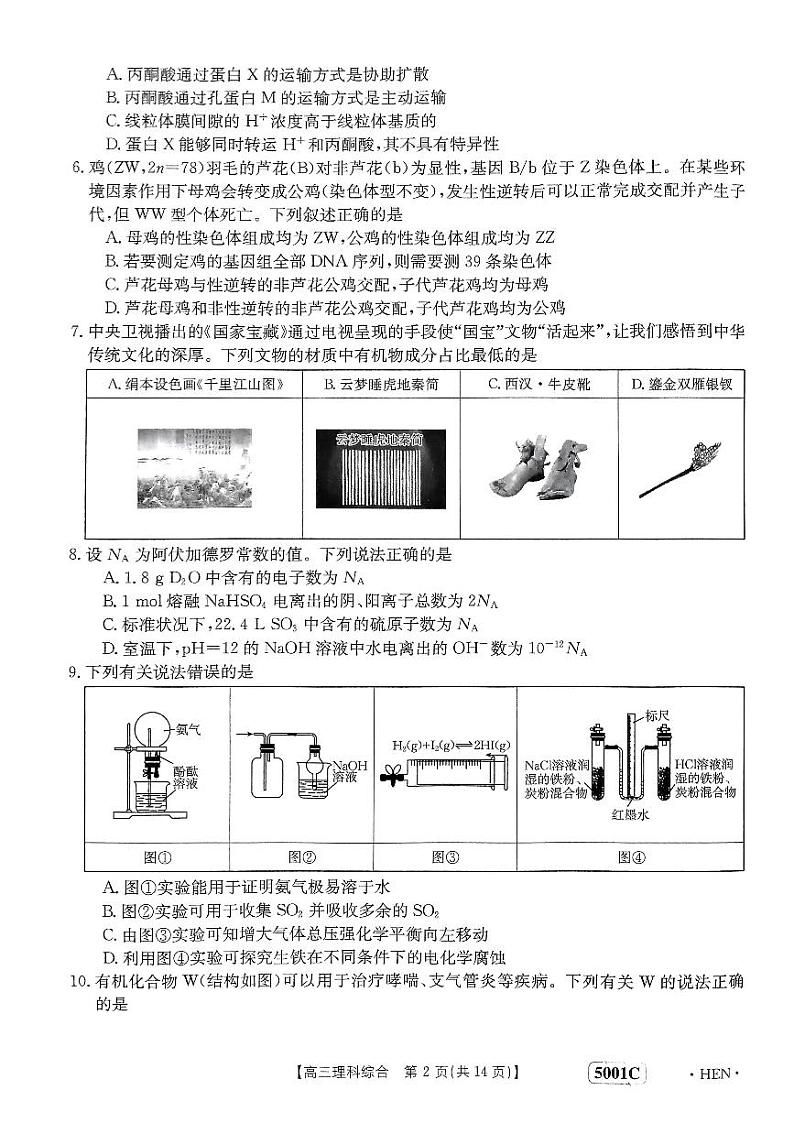 2023届河南省创新发展联盟高三下学期高考仿真模拟预测 理综(1)第2页