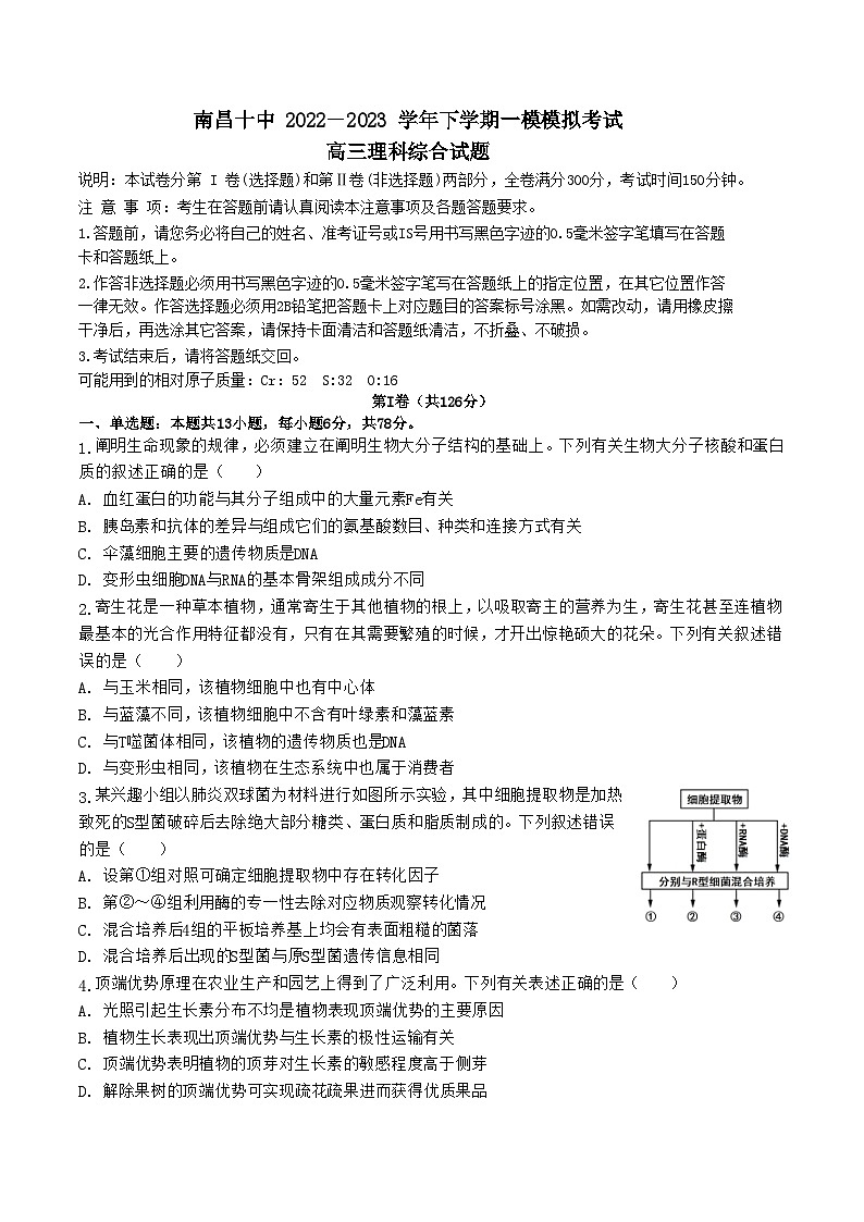 2022-2023学年江西省南昌市第十中学高三下学期第一次模拟理科综合试题含答案01