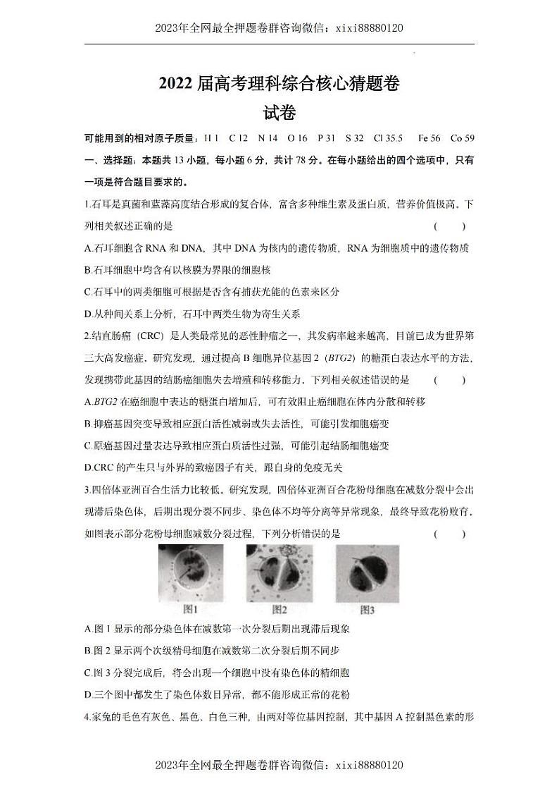 2022高考核心猜题卷---理综试卷及答案01