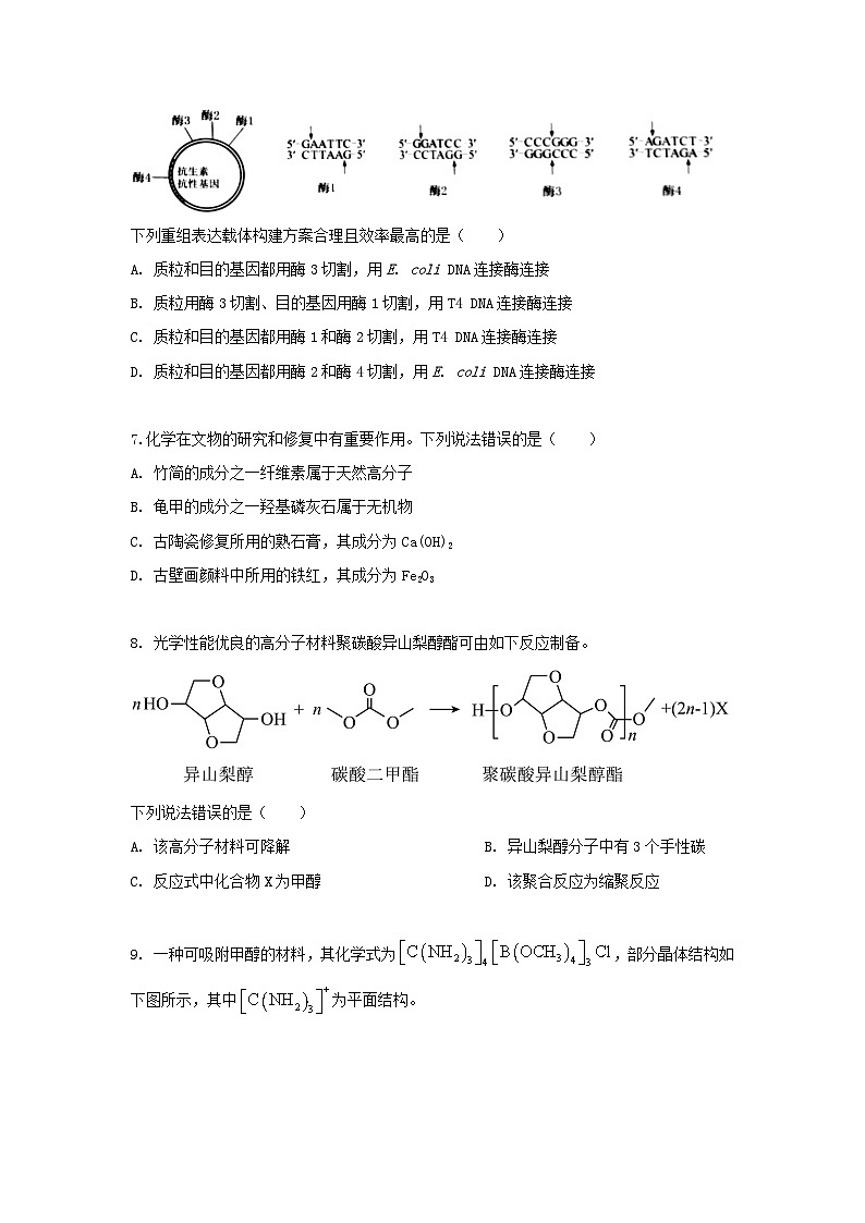 2023年高考真题（新课标卷）理综试卷+解析03