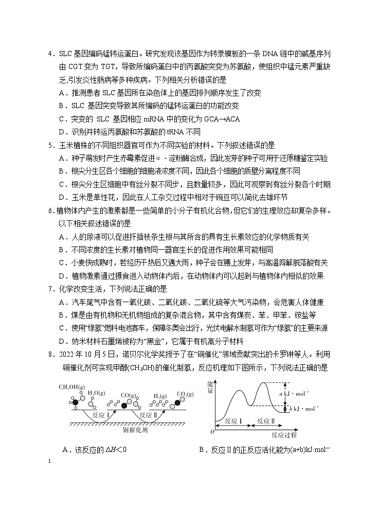 2023届宁夏回族自治区银川一中高三下学期第三次模拟理综第2页