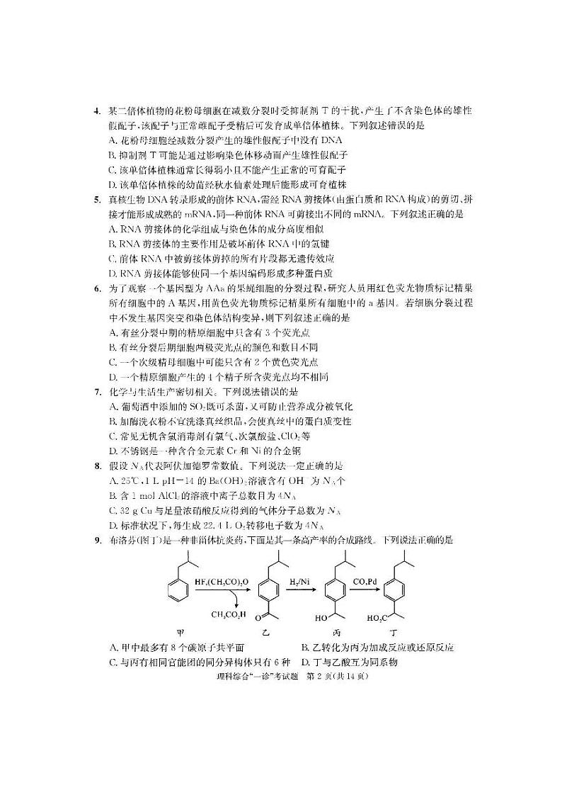 四川省成都市2023届高三第一次诊断性检测理科综合试卷+答案第2页