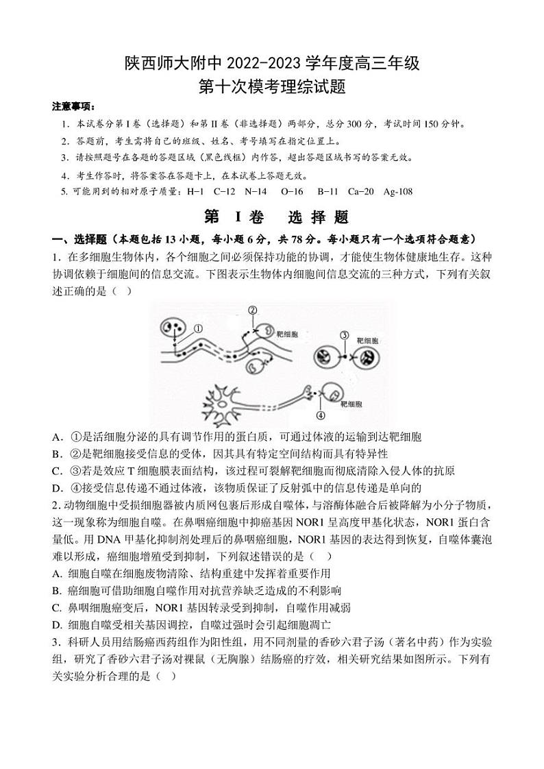 2023届陕西省西安市陕西师范大学附属中学5月高三三模理科综合试卷及答案01