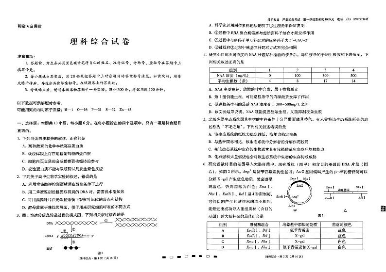 云南师大附中2024届高考适应性月考卷（一）理综第1页