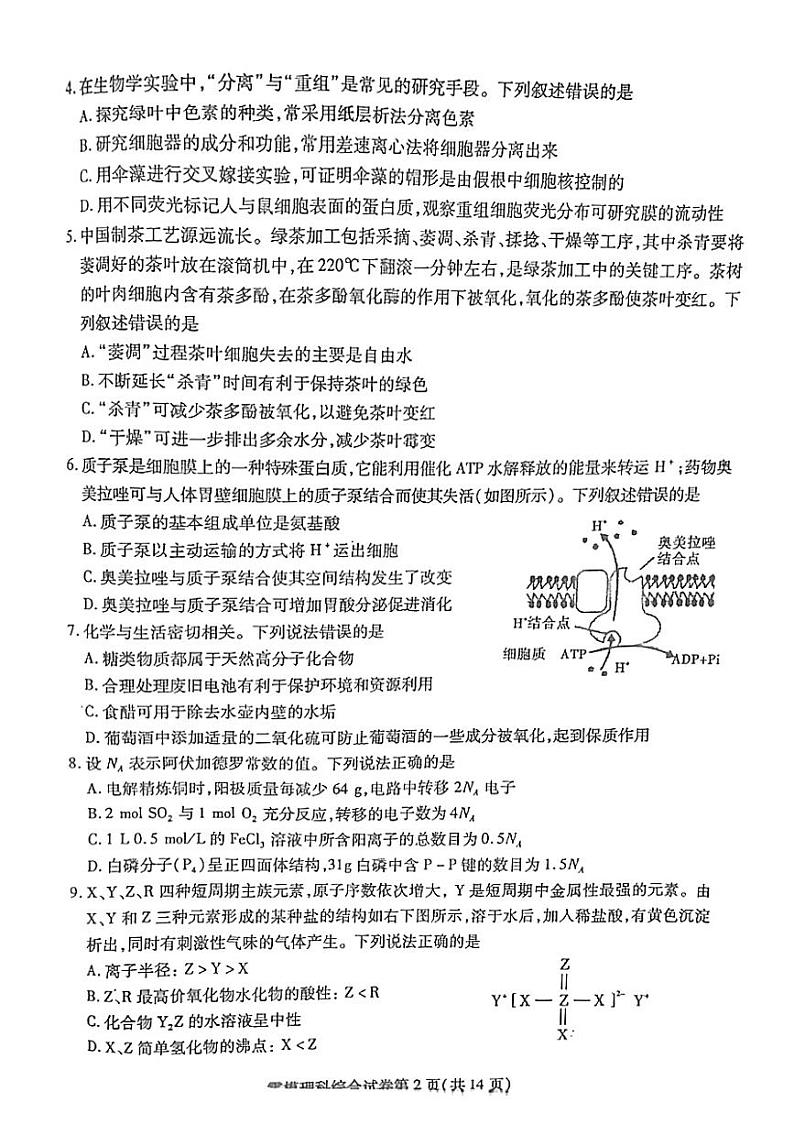 2024届四川省内江市高三零模考试理科综合试题第2页