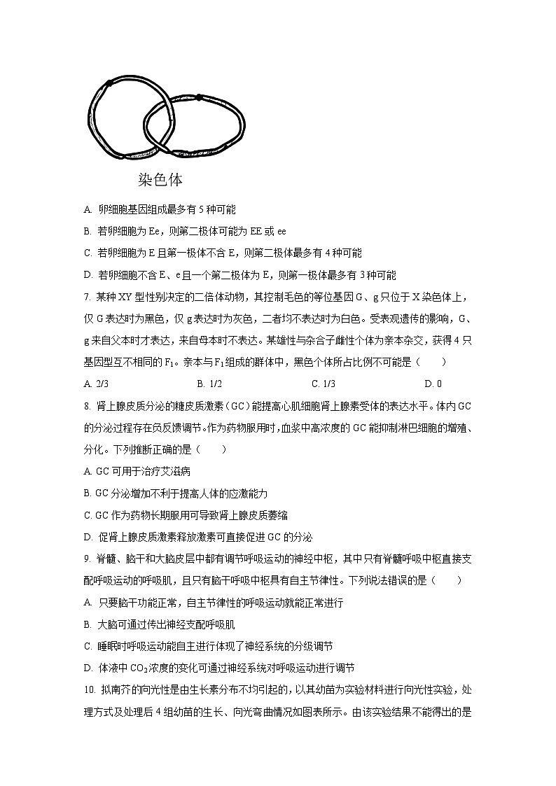 2023年山东省新高考生物真题（含答案）03