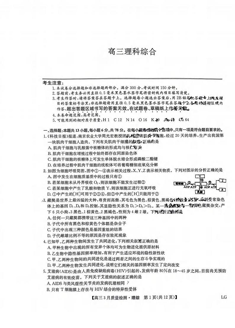 _物化生丨九师联盟2023届高三下学期3月质量巩固检测（老教材老高考LG）物化生试卷及答案01