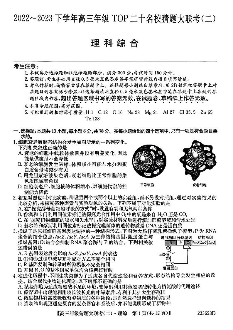 2023届河南省TOP二十名校高三下学期猜题大联考（二）理科综合试题01