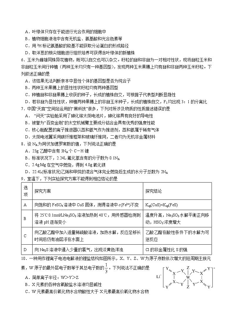 2022-2023学年四川省成都市石室中学高三下学期周考（3月31日）理综试题02