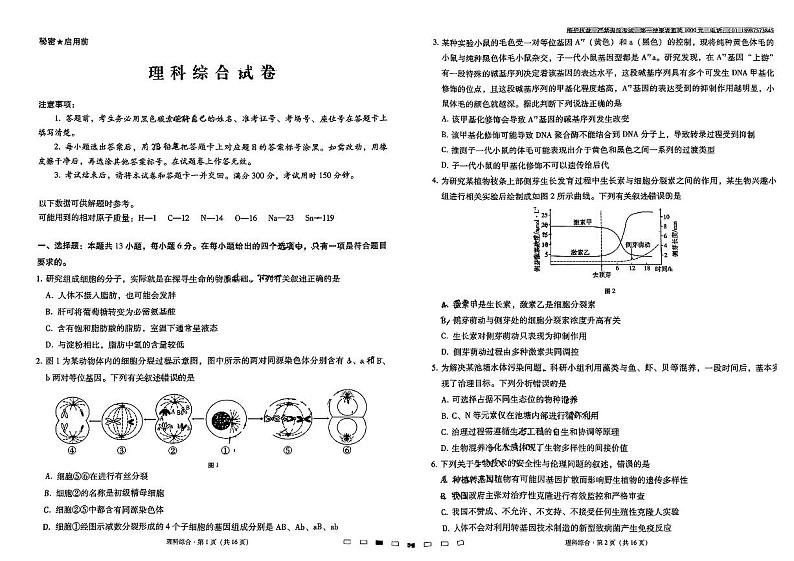 2023届云南师范大学附属中学高三下学期第十次高考适应性考试 理综 PDF版01