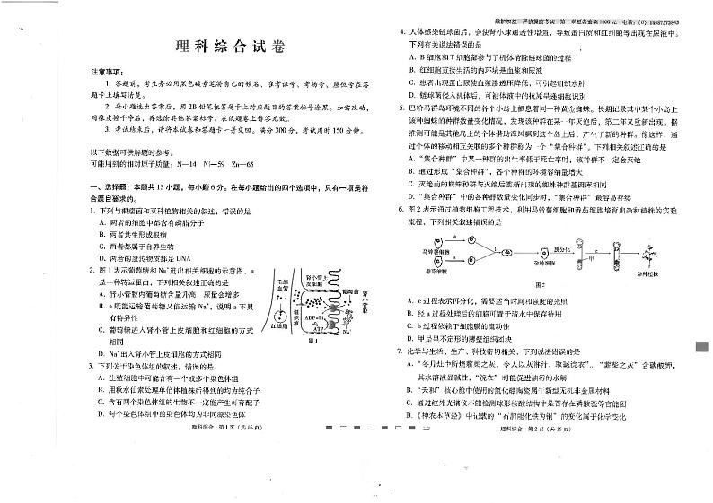 2024届云南师范大学附属中学高三高考适应性月考（二）（8月）理综 PDF版01