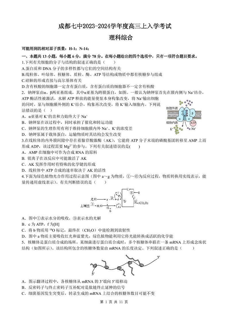 四川省成都市第七中学2023-2024学年高三上学期入学考试理综试卷01