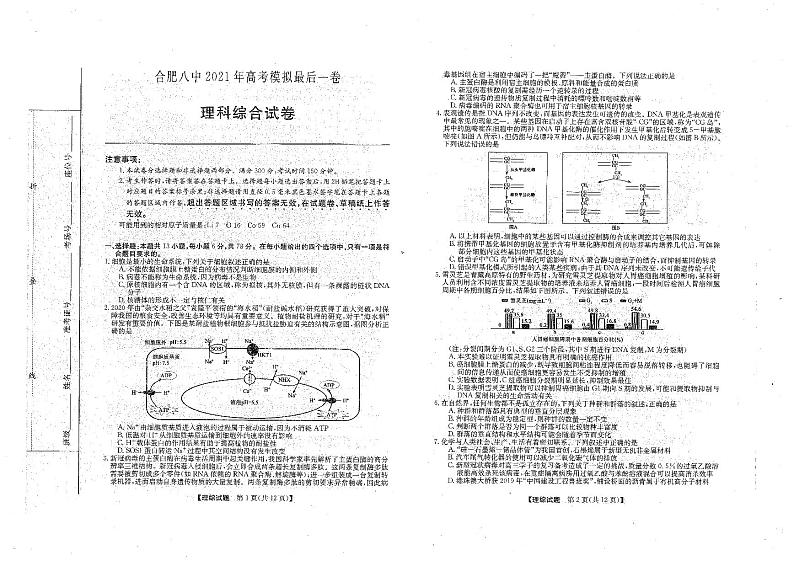 安徽省合肥八中2021届高三最后一卷理科综合【试卷+答案】01