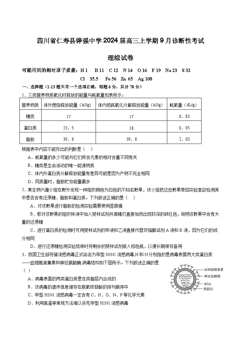 2024届四川省仁寿县铧强中学高三上学期9月诊断性考试理综试题（Word版）第1页