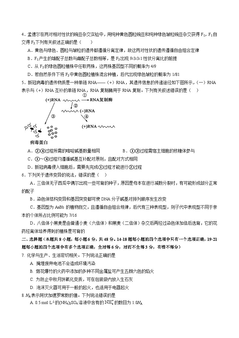 2024届四川省仁寿县铧强中学高三上学期9月诊断性考试理综试题（Word版）第2页