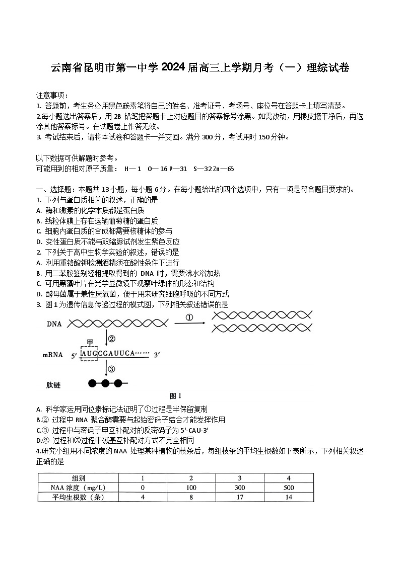 2024届云南省昆明市第一中学高三上学期月考（一）理综试题（Word版）（含部分解析）01