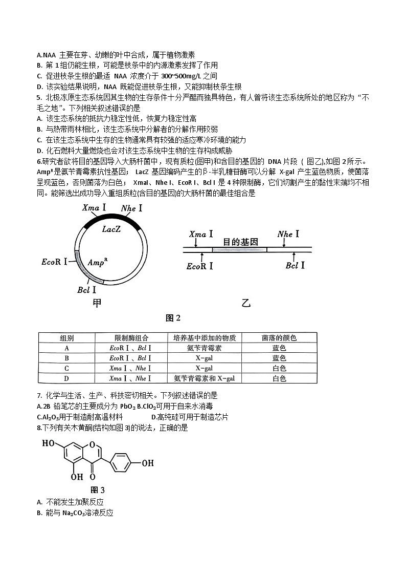2024届云南省昆明市第一中学高三上学期月考（一）理综试题（Word版）（含部分解析）02