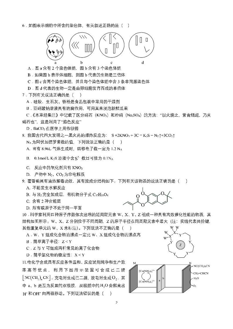 24届高三理科综合10月阶段性考试试卷第2页