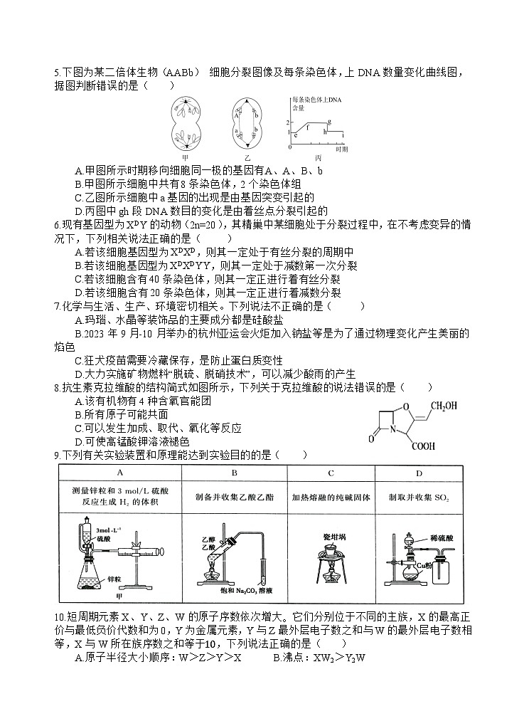 2024四川省射洪中学高三上学期10月月考试题理综含答案02