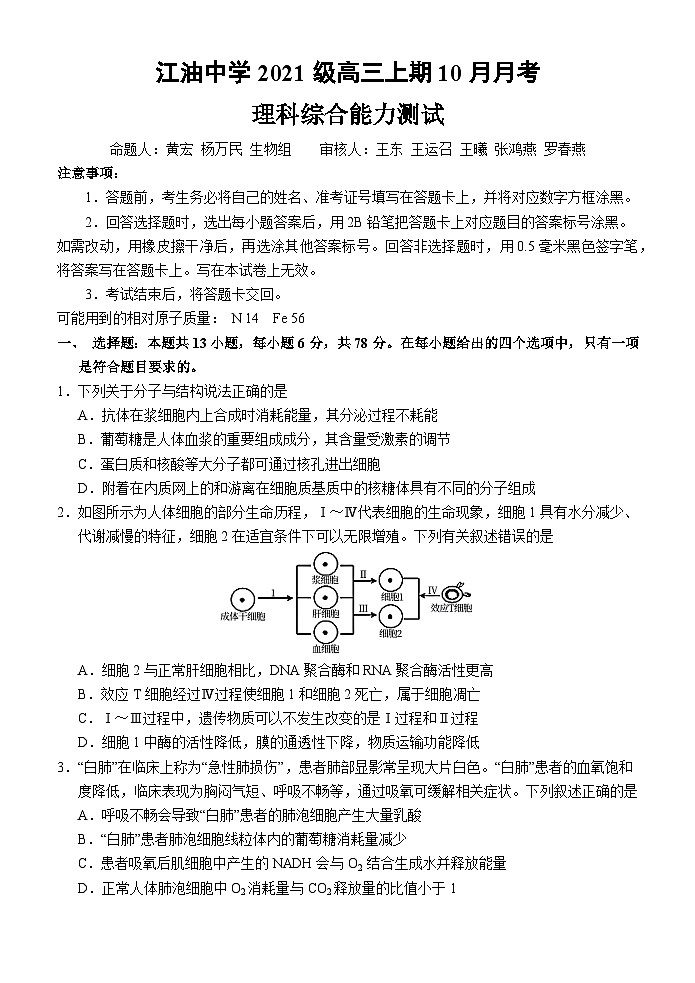 2023-2024学年四川省绵阳市江油中学高三上学期10月月考试题 理综01