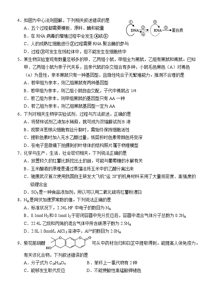 2023-2024学年四川省绵阳市江油中学高三上学期10月月考试题 理综02