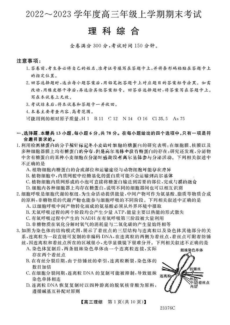 2022-2023学年山西省金科大联考高三上学期期末考试理综 PDF版01