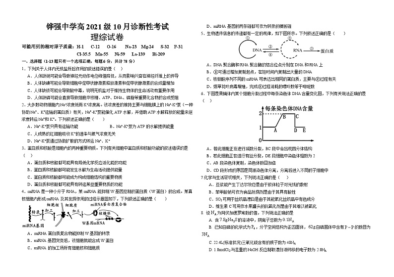 四川省仁寿县铧强中学2023-2024学年高三上学期10月诊断性考试理综试题（月考）01