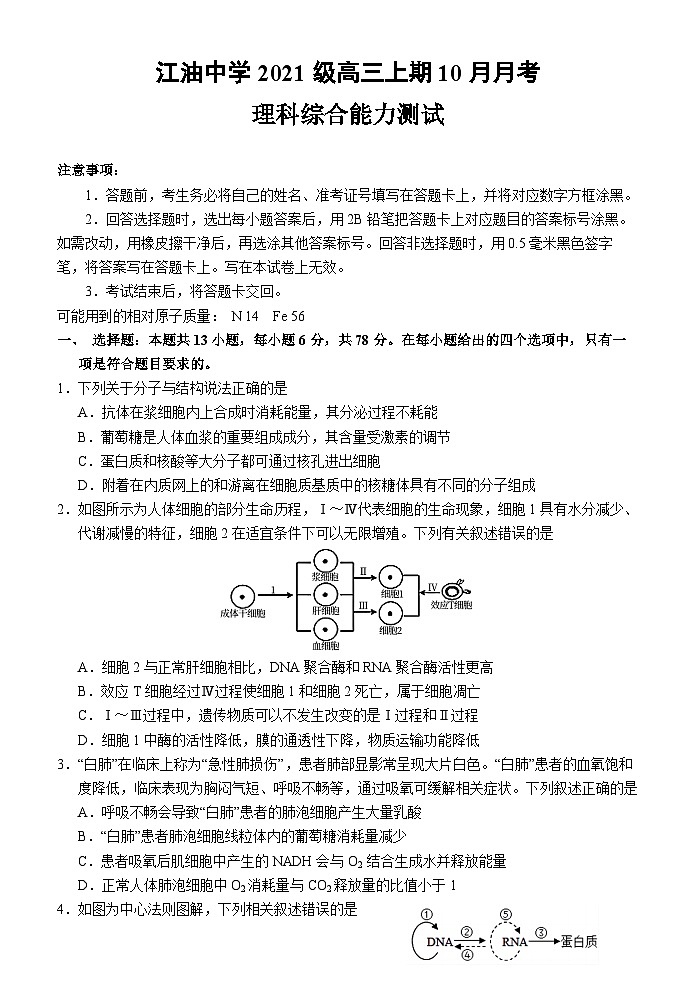 四川省绵阳市江油中学2023-2024学年高三理综上学期10月月考试题（Word版附答案）01