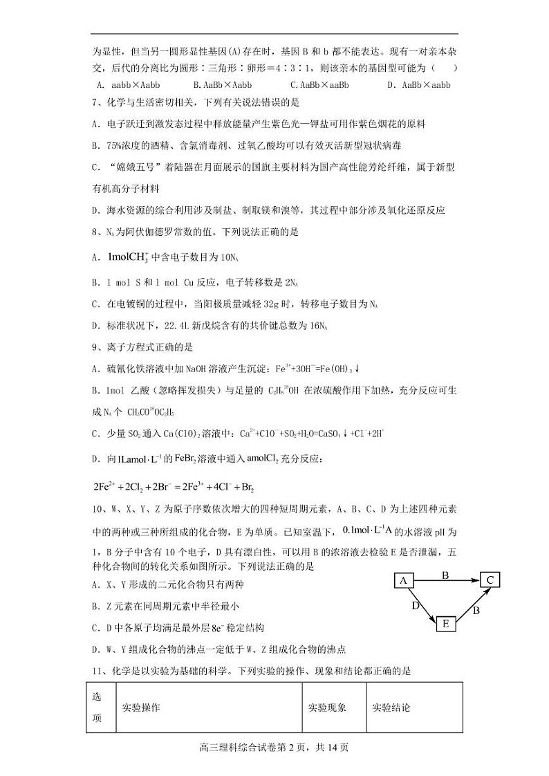 四川省成都市列五中学2023-2024学年高三上学期10月月考理综第2页