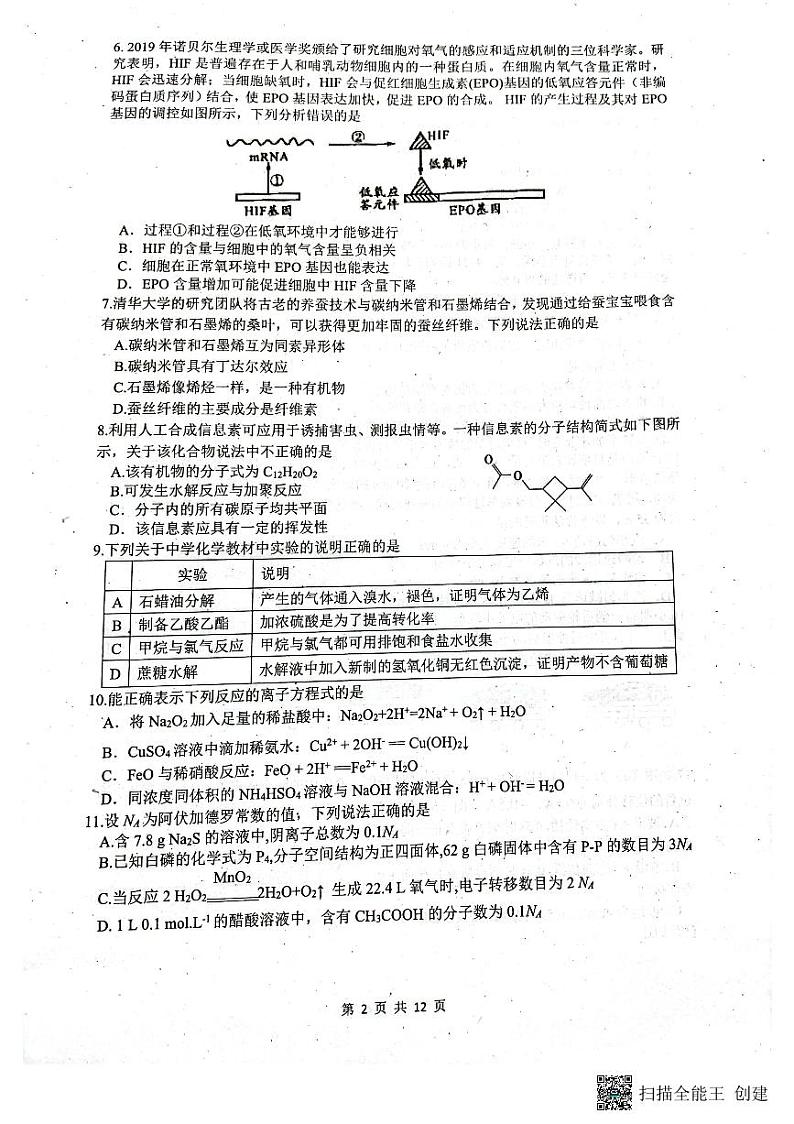 2024届四川省绵阳南山中学高三上学期零诊考试理综试题（含答案）第2页