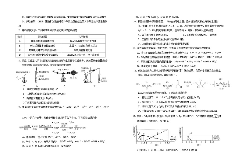 宁夏回族自治区银川一中2023-2024学年高三理综上学期第三次月考试题（10月）（Word版附答案）第2页