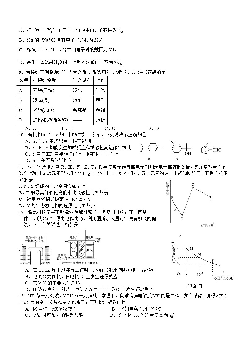 四川省成都市双流棠湖中学2023-2024学年高三上学期10月月考理综第2页