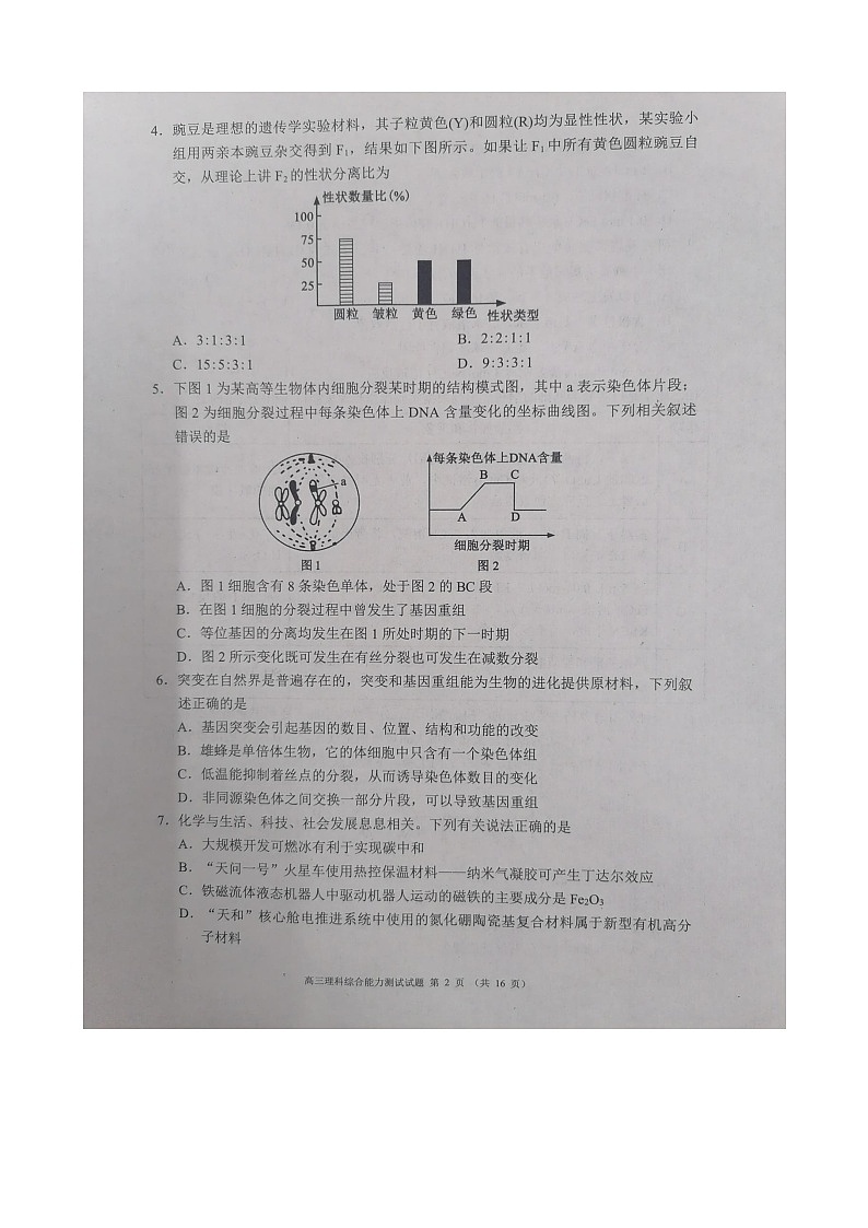 四川省成都市彭州市2023～2024学年度上期高三期中教学质量调研理综第2页