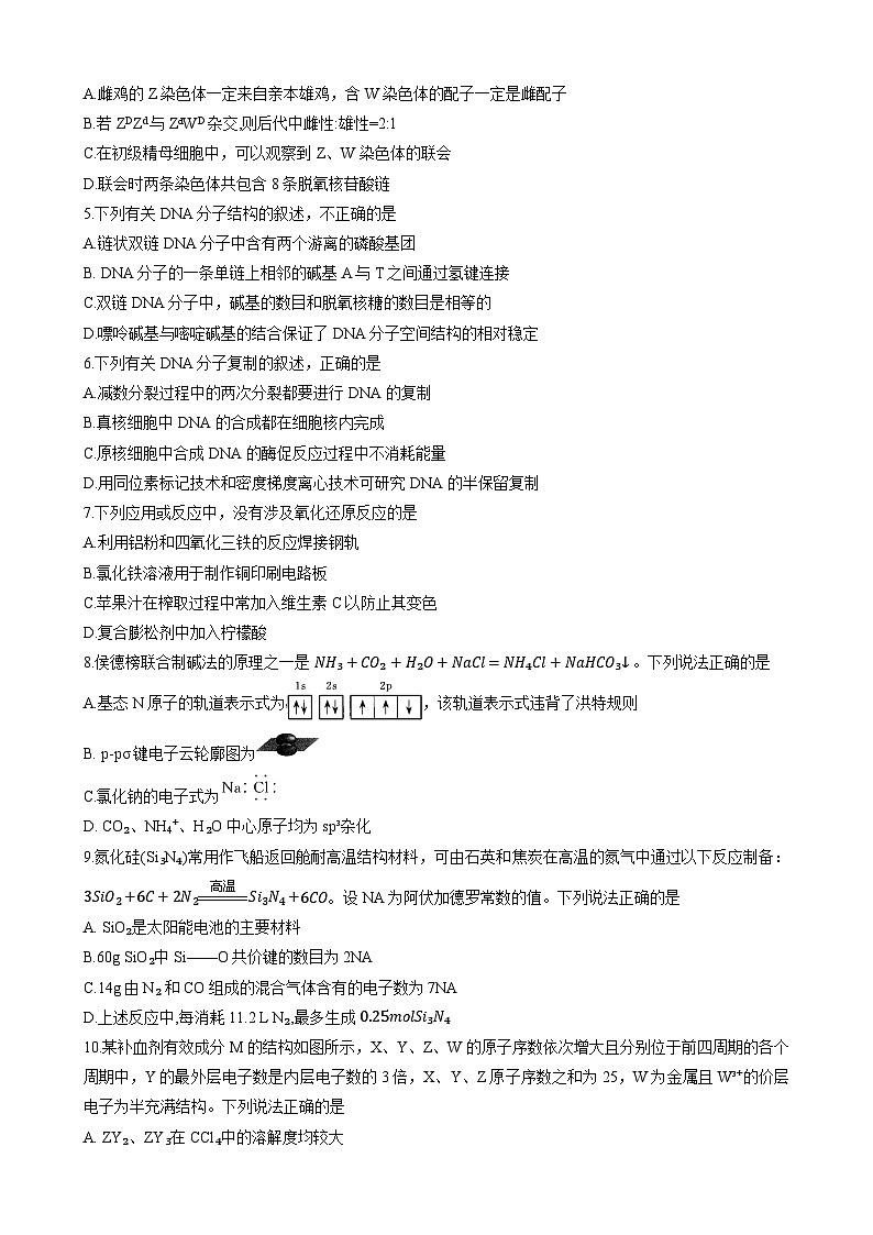 山西省朔州市怀仁市怀仁第一中学校2023-2024学年高三上学期11月月考理综试题第2页