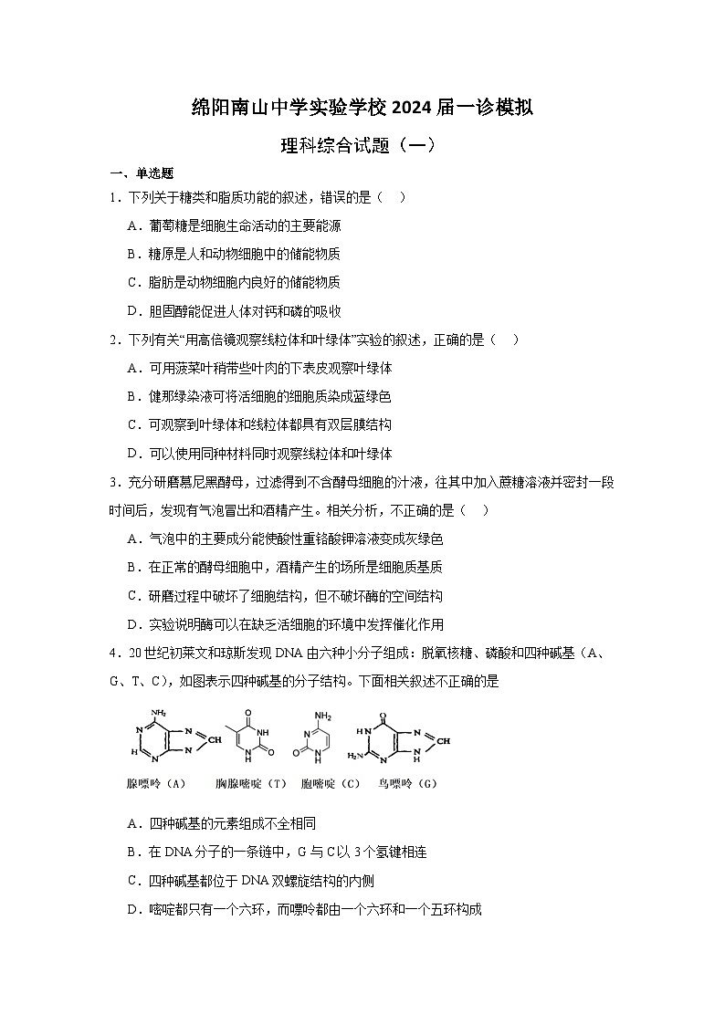2024绵阳南山中学实验学校高三上学期10月月考（一诊模拟）理综含解析01