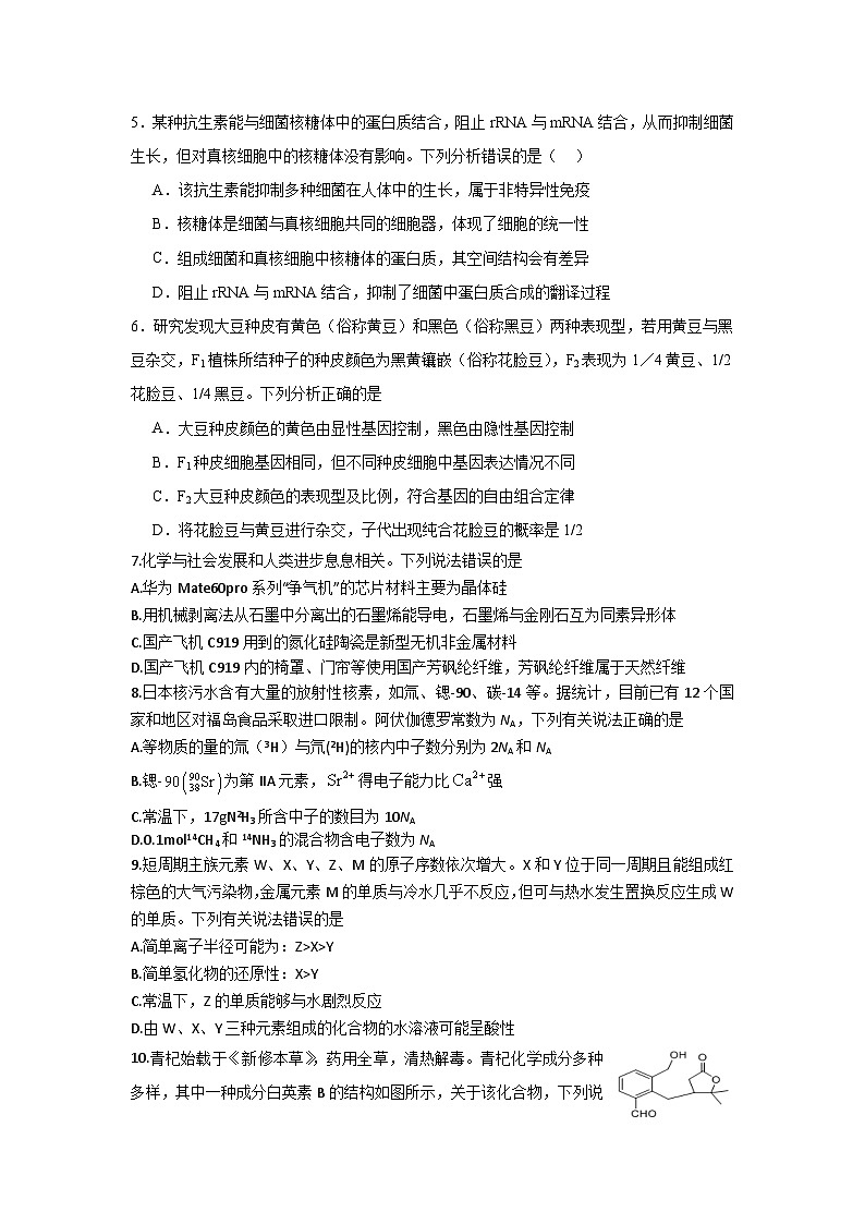 2024绵阳南山中学实验学校高三上学期10月月考（一诊模拟）理综含解析02