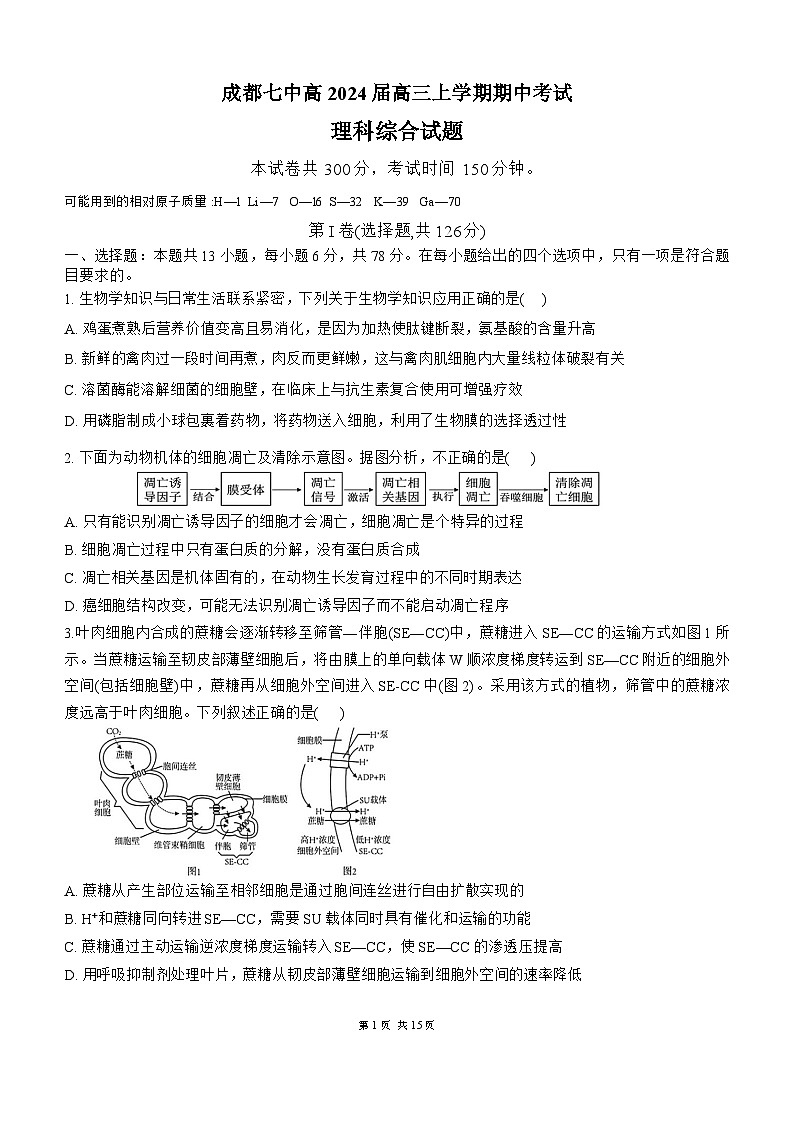 四川省成都市第七中学2023-2024学年高三上学期期中理综试题01