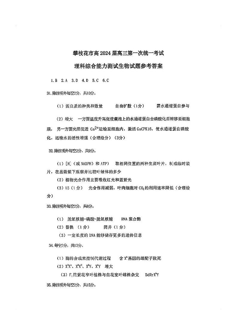 2024攀枝花高三上学期第一次统一考试理综PDF版含答案01