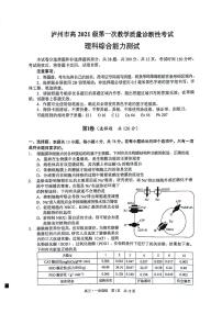 2024届四川省泸州市高三上学期第一次教学质量诊断性考试（一模）理综试题