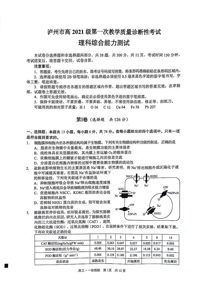 2024届四川省泸州市高三上学期第一次教学质量诊断性考试（一模）理综试题01