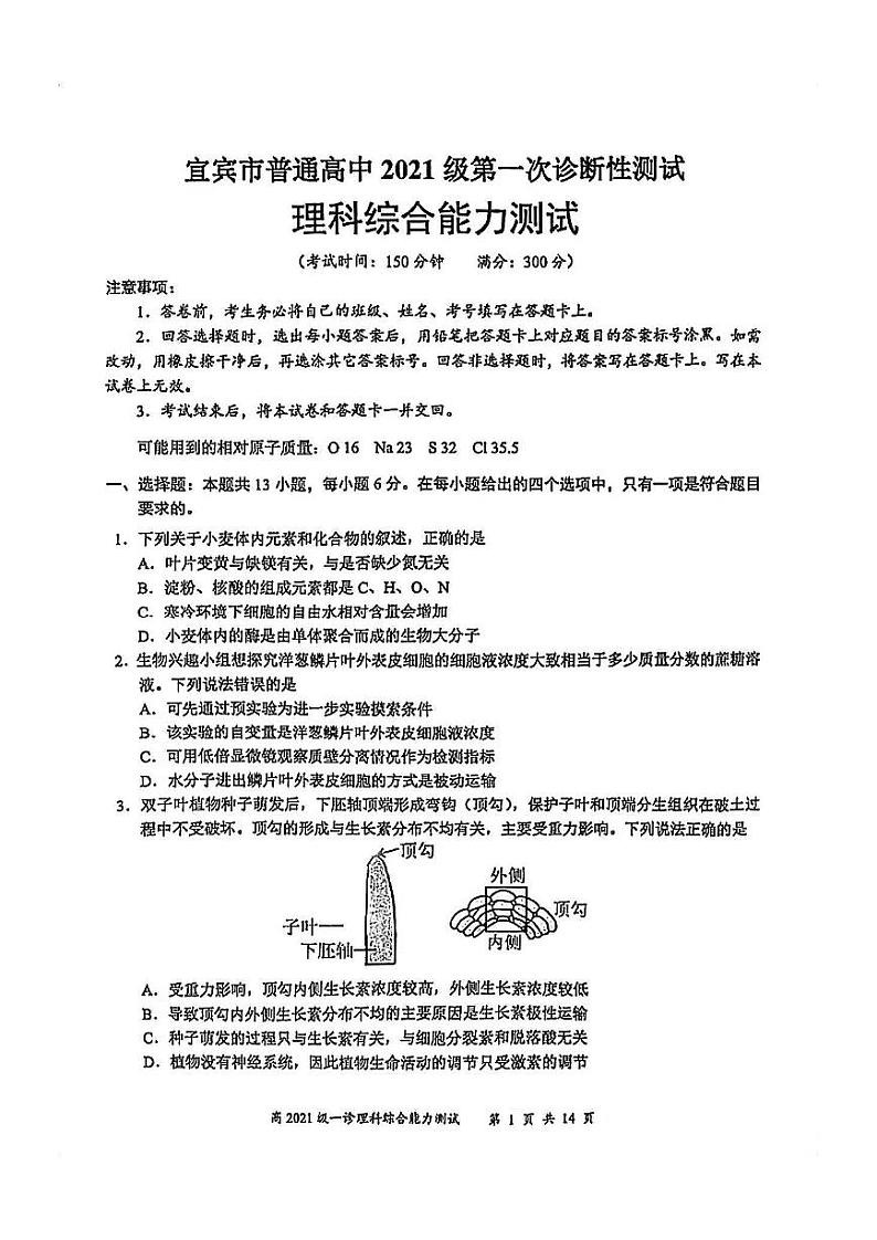 2024年四川宜宾高三一诊理科综合试题及答案第1页