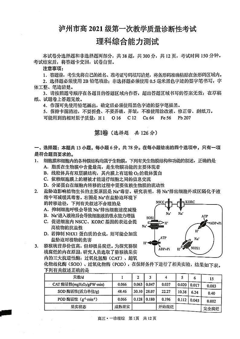 2024届四川省泸州市高三上学期第一次教学质量诊断性考试（一模）理综试题01
