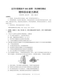 四川省宜宾市2023-2024学年高三上学期第一次教学质量诊断性考试 理综试题及答案